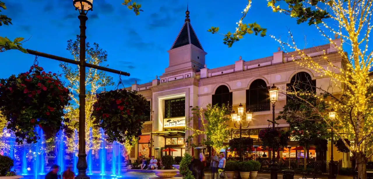 Station Park Village Center, Twigs